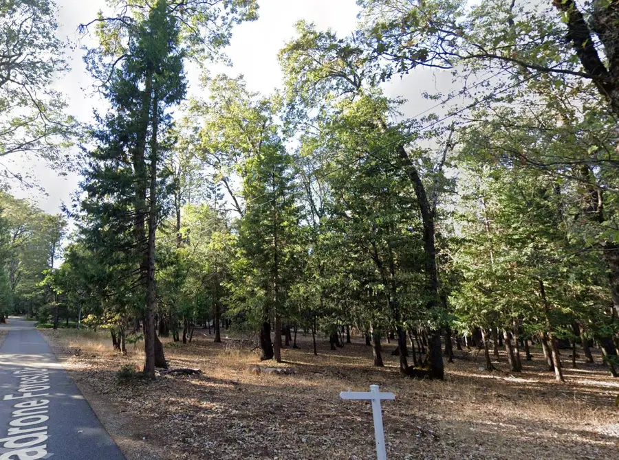 13117 Madrone Forest Drive, Nevada City, CA 95959 - Image #3