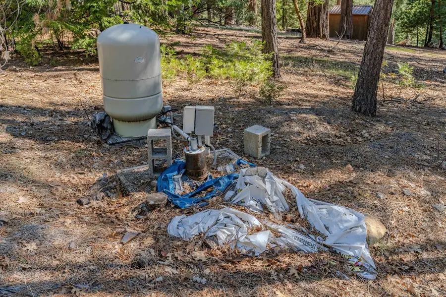 19818 Pine Drive, Pioneer, CA 95666 - Image #3