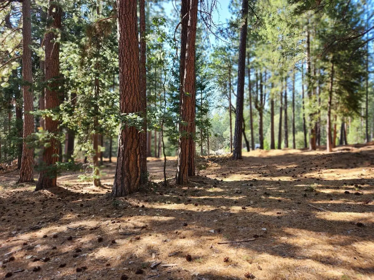 165 Secret Town Lane, Colfax, CA 95713 - Image #1