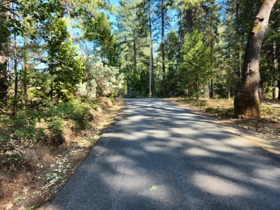 165 Secret Town Lane, Colfax, CA 95713 - Image #2