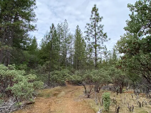 3 Todd Valley Road, Foresthill, CA 95631