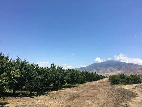 0 Bear Mountain Boulevard, Arvin, CA 93203