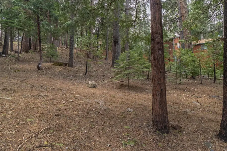 3099 Apache Road, Arnold, CA 95223 - #2