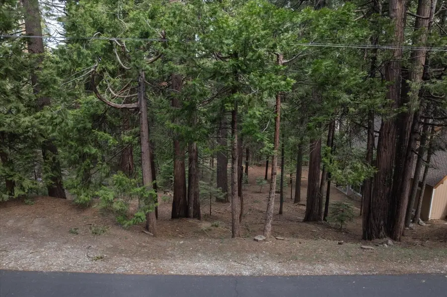 3099 Apache Road, Arnold, CA 95223 - #3