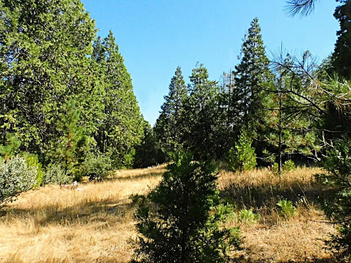 10 Woodland Court, Placerville, CA 95667 - Image #1