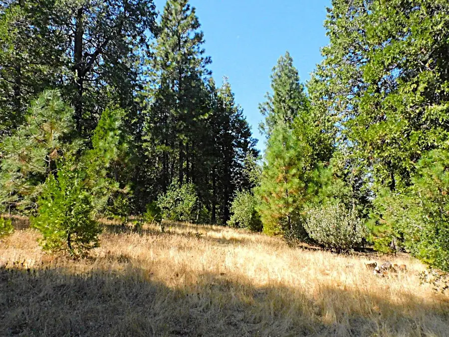 10 Woodland Court, Placerville, CA 95667 - Image #3