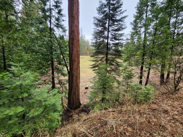 4337 Lakemont Drive, Arnold, CA 95223