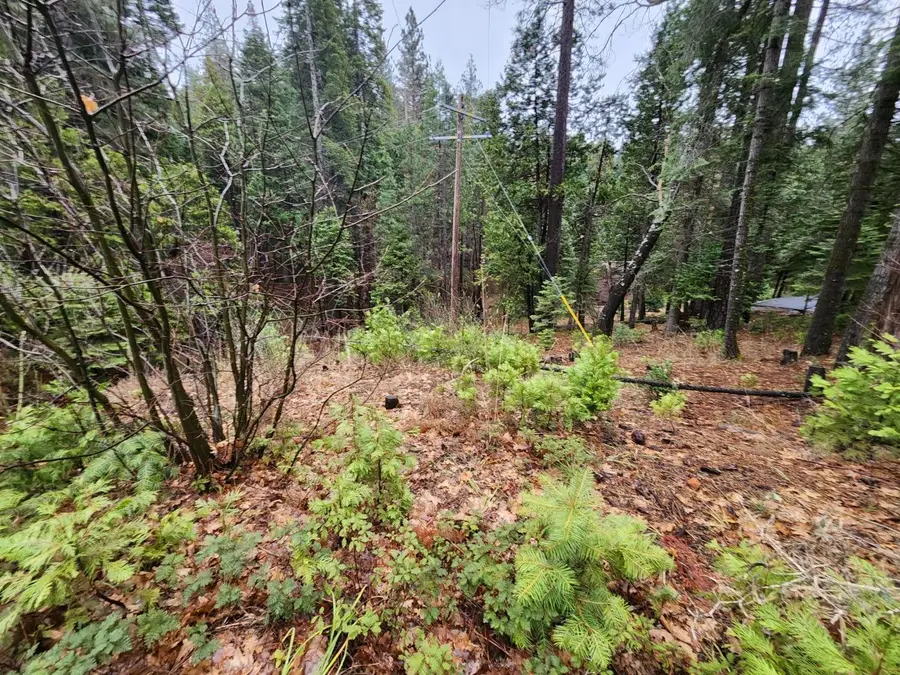 4337 Lakemont Drive, Arnold, CA 95223 - Image #2