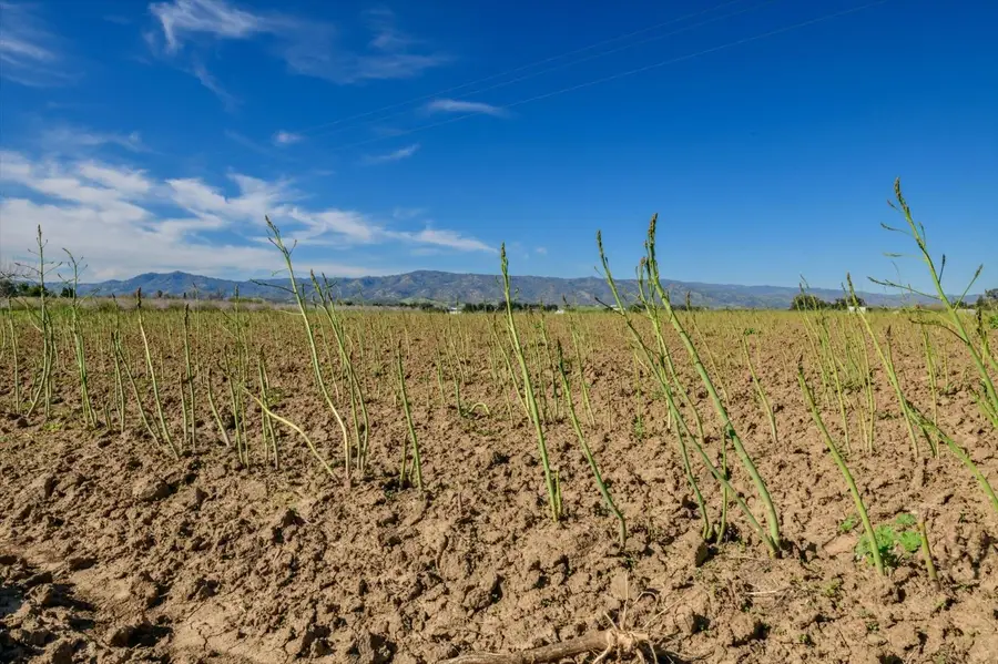 26605 State Highway 16, Esparto, CA 95627 - Image #3