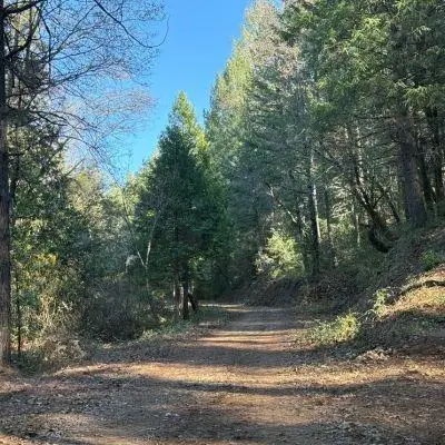 0 Spring Garden Road, Foresthill, CA 95631 - Image #3