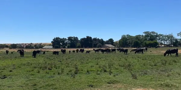 0 Morrison Road, Oakdale, CA 95361