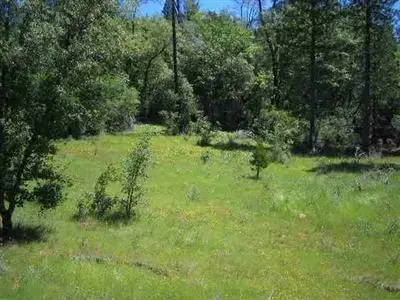 13 Beloved Way, Dobbins, CA 95935 - #3