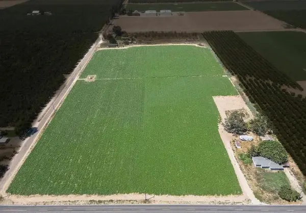 2617 Lincoln Boulevard, Livingston, CA 95334