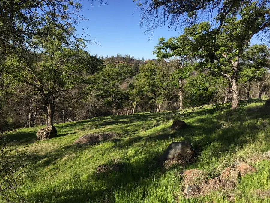 19 Strong Box Court, Browns Valley, CA 95918 - Image #3