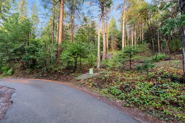 24870 Ridgecrest Drive, Pioneer, CA 95666