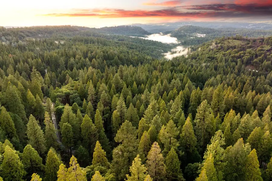 24870 Ridgecrest Drive, Pioneer, CA 95666 - Image #2