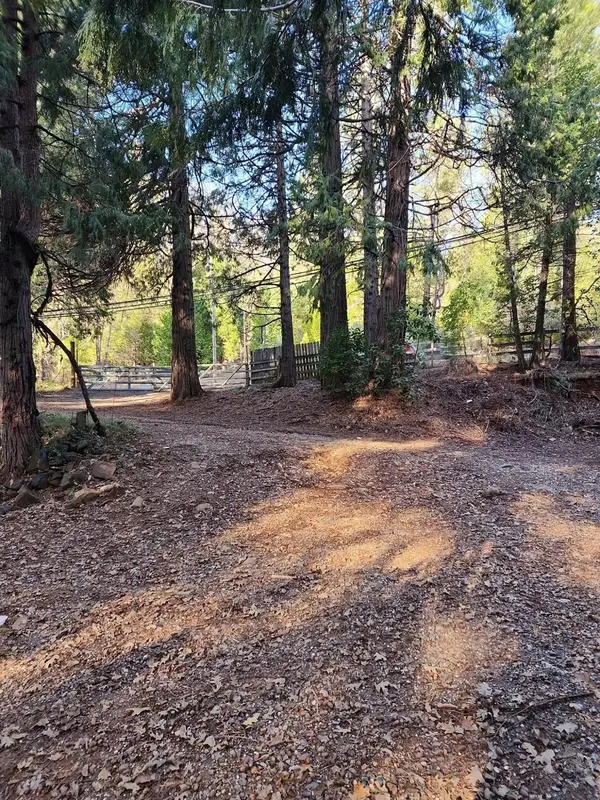 9246 La Porte Road, Brownsville, CA 95919