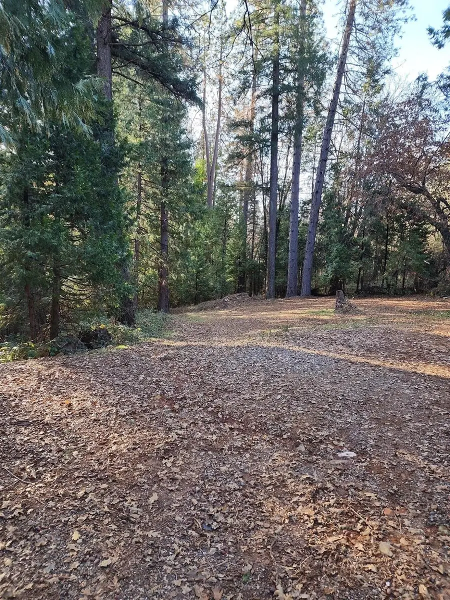 9246 La Porte Road, Brownsville, CA 95919 - Image #2