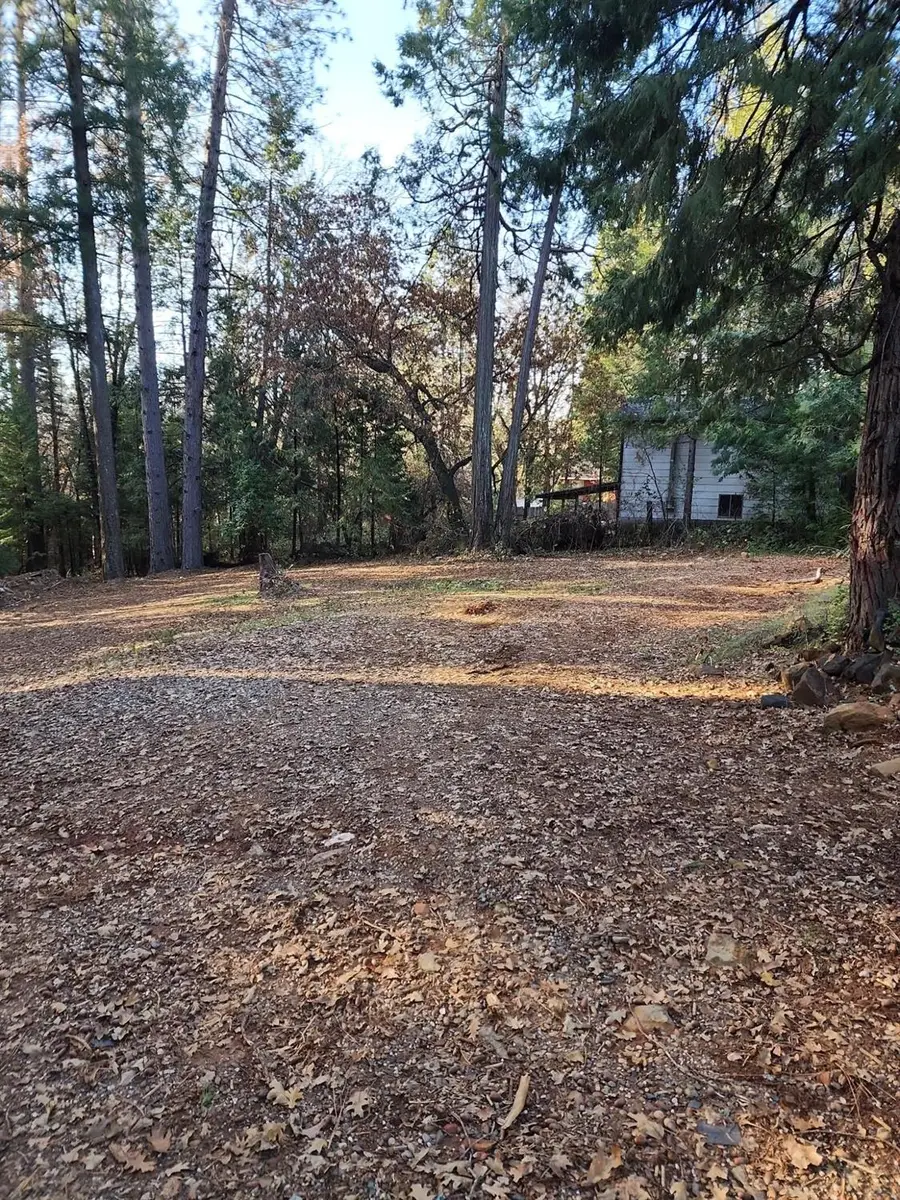 9246 La Porte Road, Brownsville, CA 95919 - Image #3