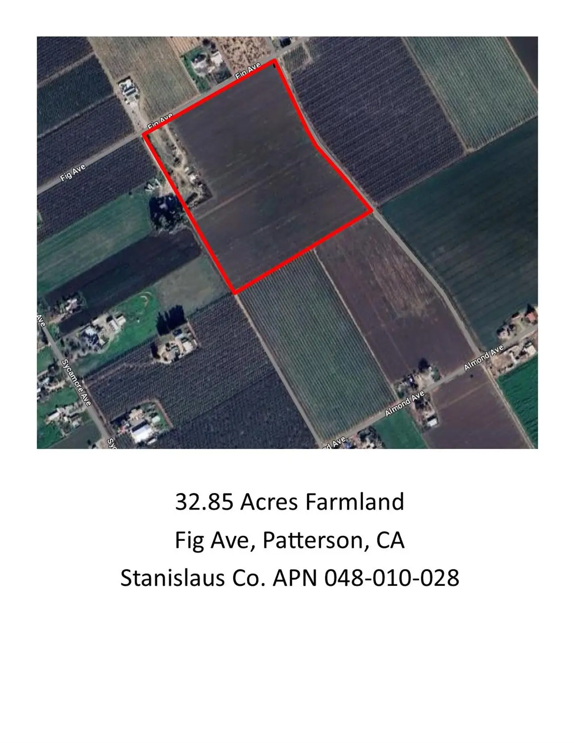 1350 Fig Avenue, Patterson, CA 95363 - Image #1