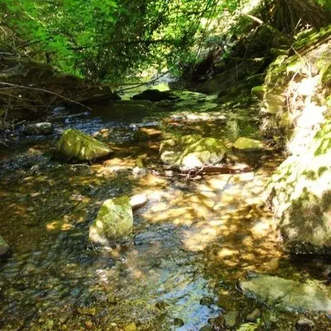 46 Ringtail Road, Georgetown, CA 95634