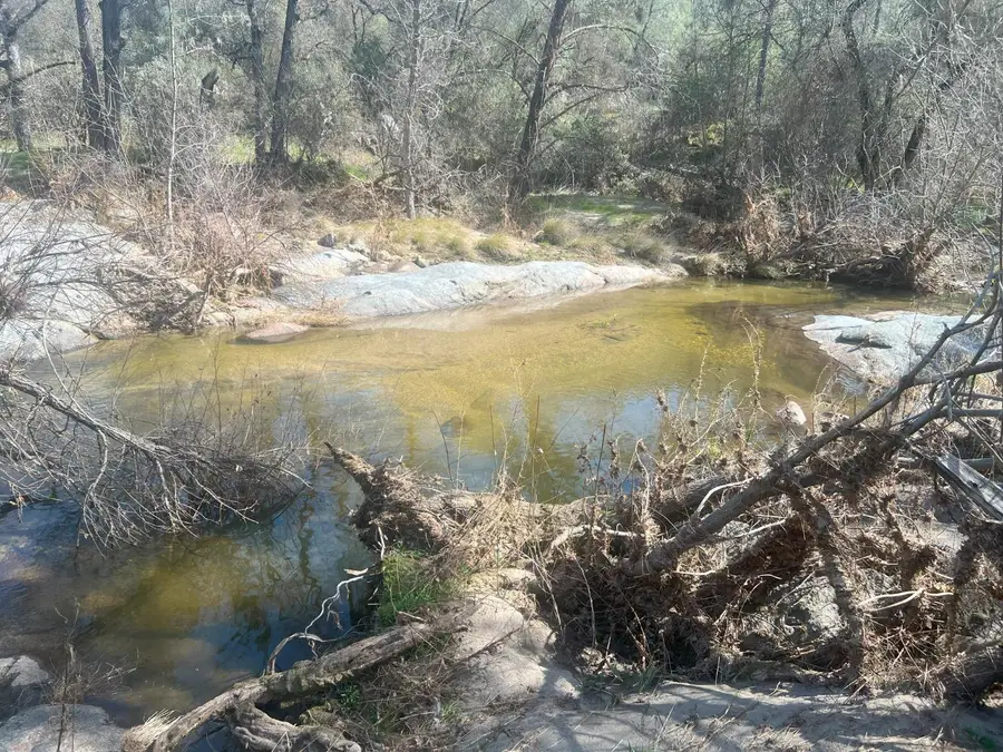 140040 Vincent Fire Road, Tollhouse, CA 93667 - #2