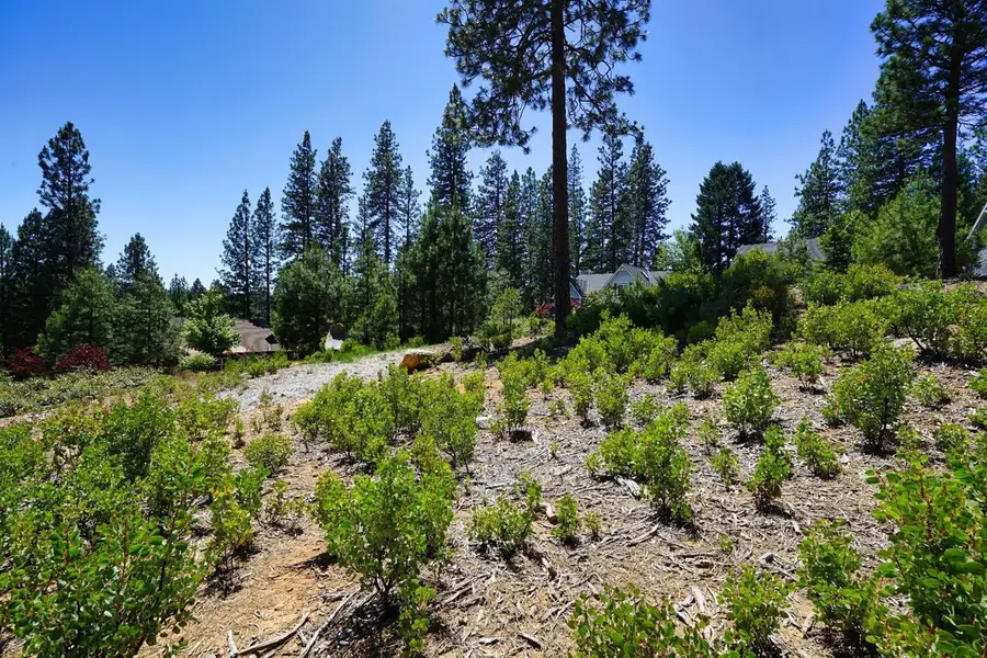 520 Lost Hill, Nevada City, CA 95959 - Image #2