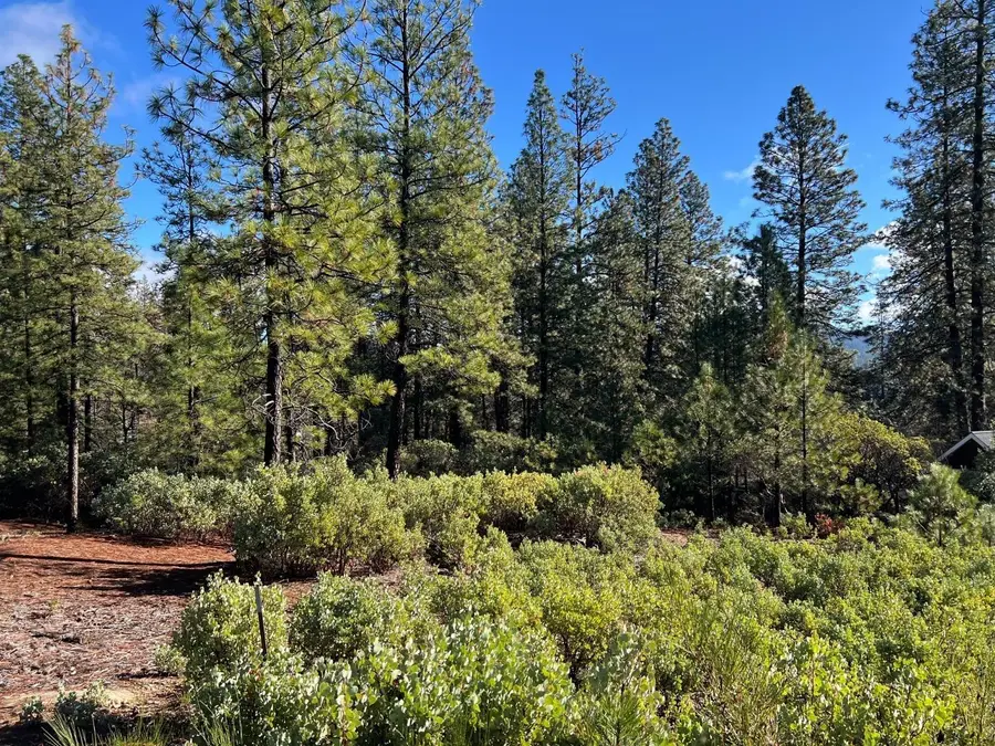 520 Lost Hill, Nevada City, CA 95959 - Image #3