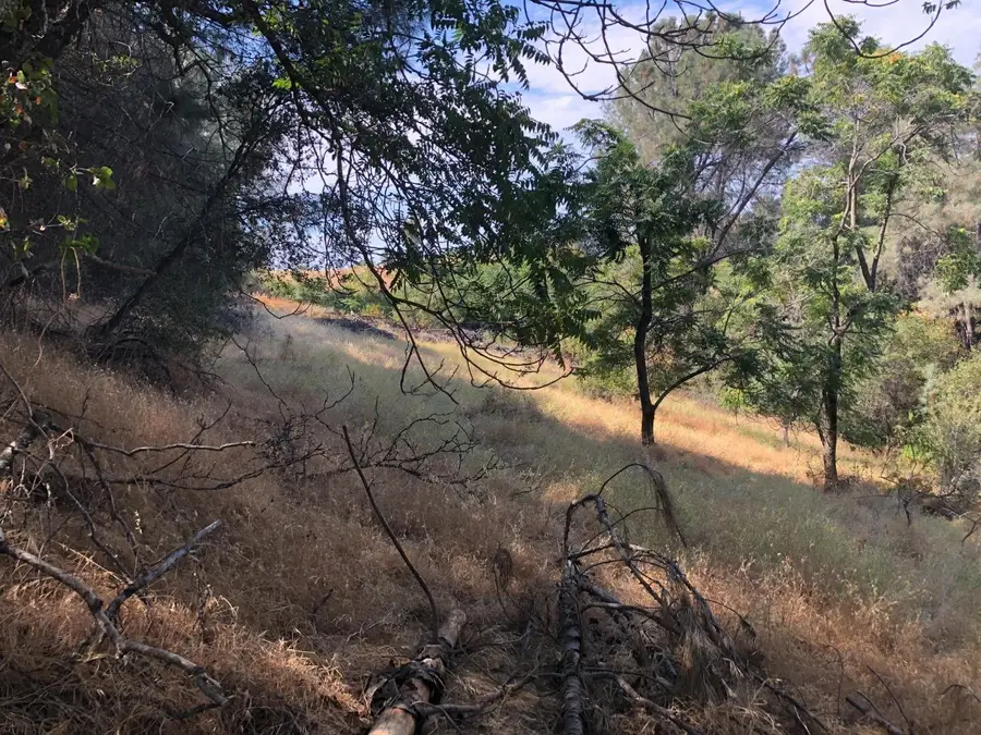 3075 Gold Nugget Way, Placerville, CA 95667 - Image #2