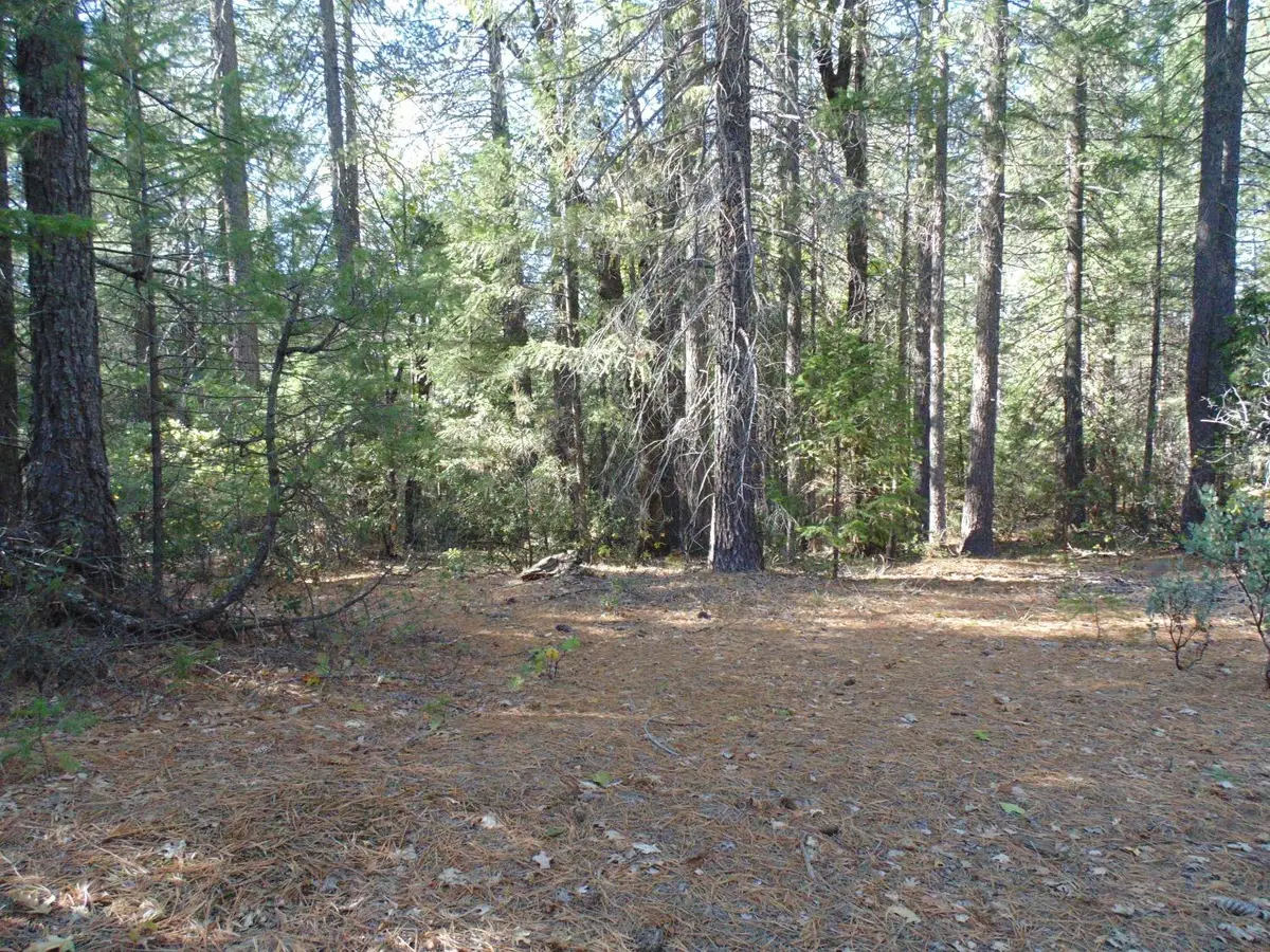 35 Balderson, Georgetown, CA 95634 - Image #1