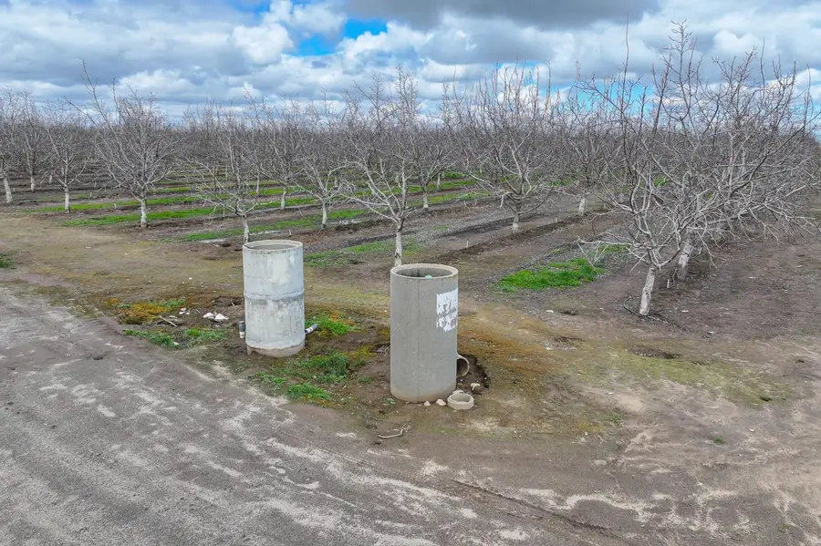 18995 Avenue 232, Lindsay, CA 93247 - Image #3