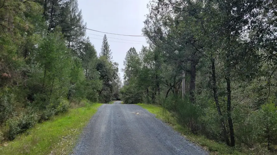 3291 Stage Trail Road, Greenwood, CA 95635 - Image #2