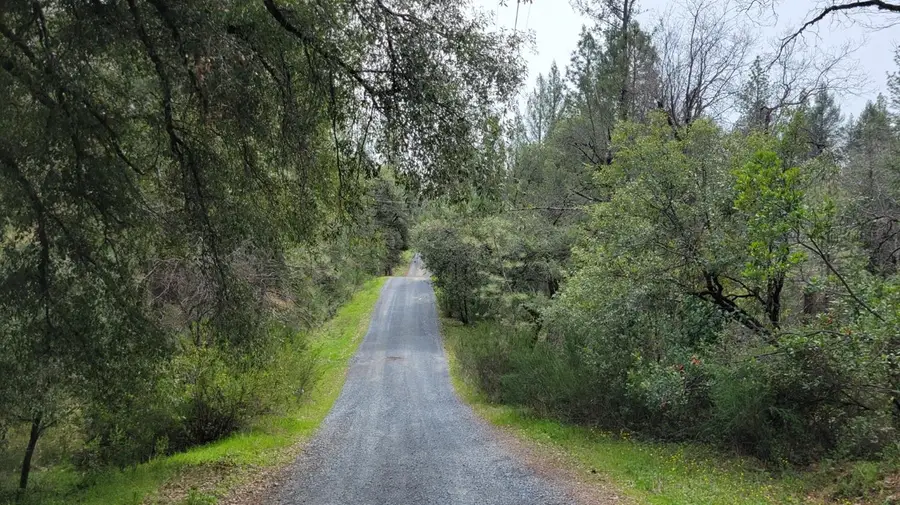 3291 Stage Trail Road, Greenwood, CA 95635 - Image #3