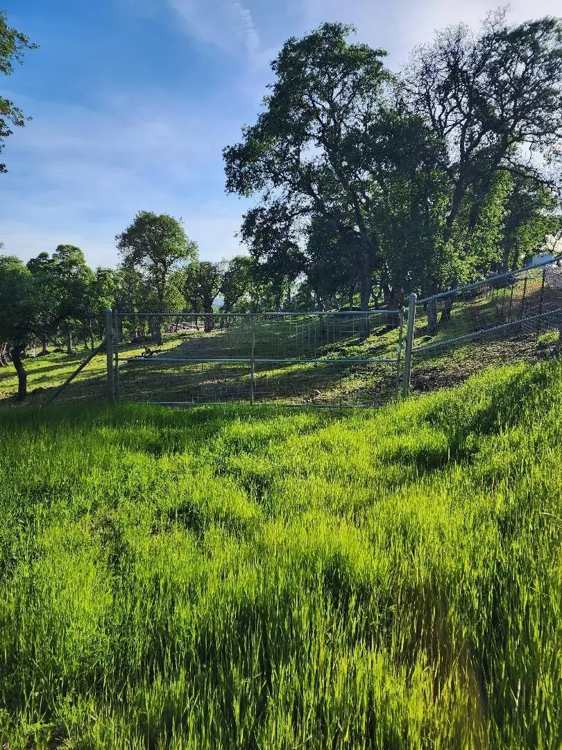 0 Spring Valley, Browns Valley, CA 95918 - Image #2