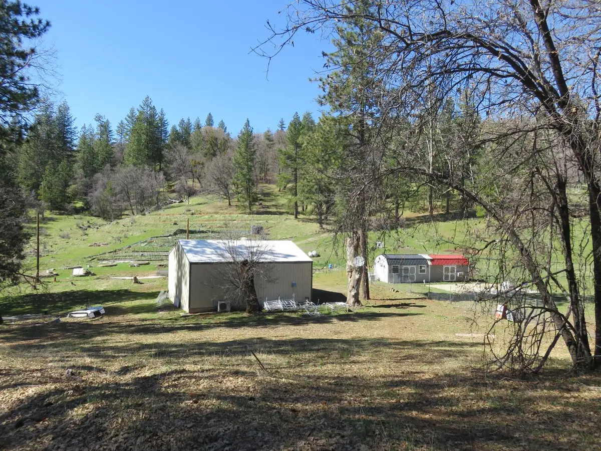 4196 Bald Mountain Road, West Point, CA 95255 - #1