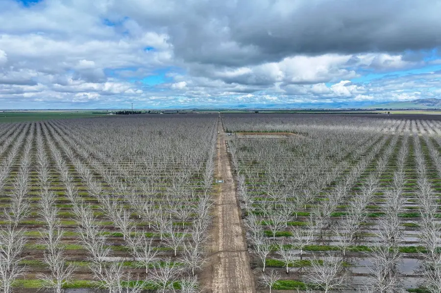 22198 Road 180, Lindsay, CA 93247 - Image #2