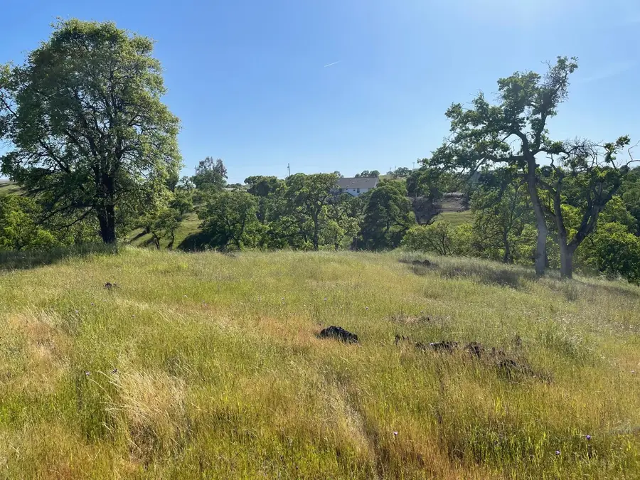 1746 Las Flores Court, La Grange, CA 95329 - Image #2