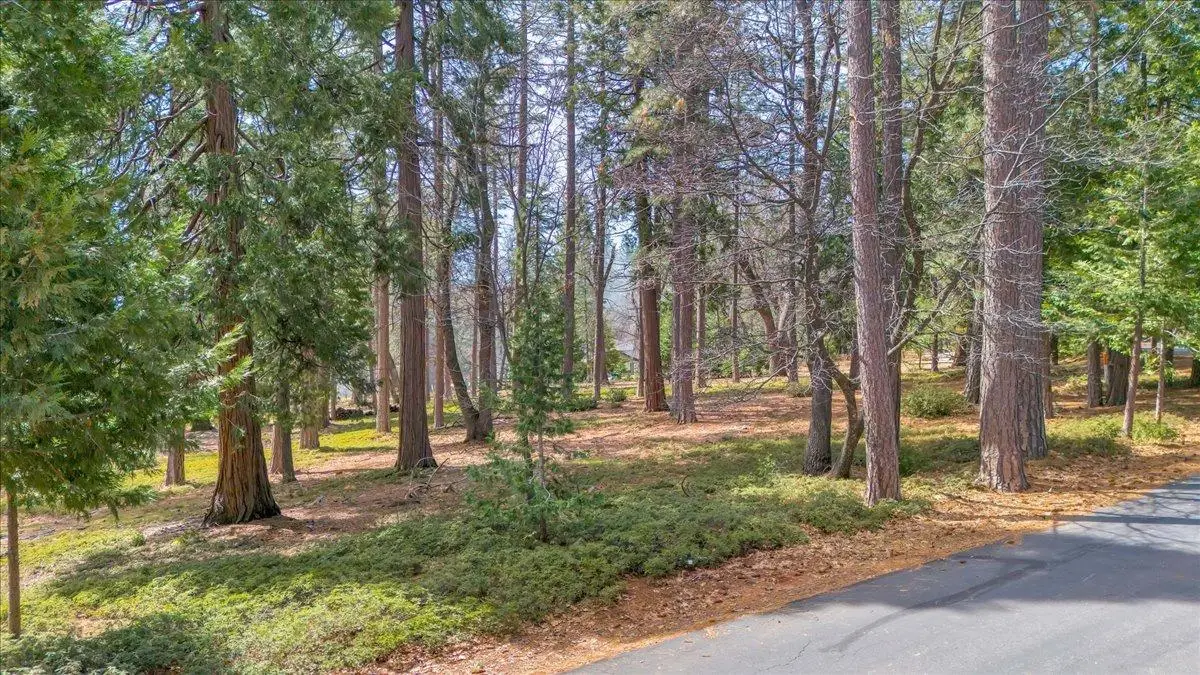 5556 Wylderidge Drive, Murphys, CA 95247 - Image #1