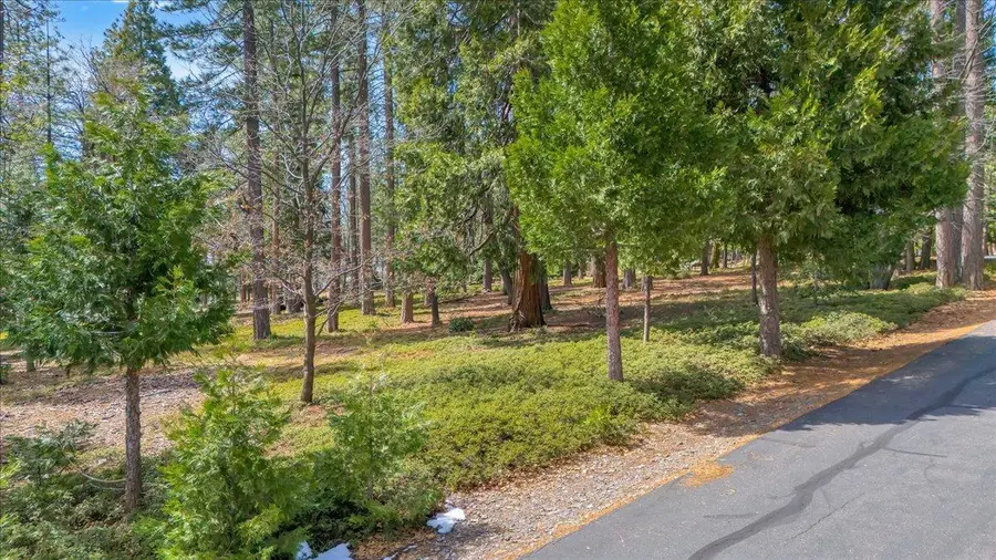 5556 Wylderidge Drive, Murphys, CA 95247 - Image #2
