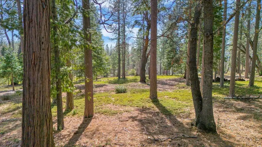 5556 Wylderidge Drive, Murphys, CA 95247 - Image #3