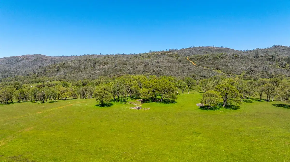 10777 Walker Trail Road, Farmington, CA 95230 - Image #1