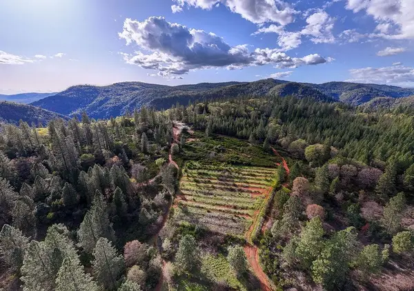 10571 Sebastopol Road, North San Juan, CA 95960