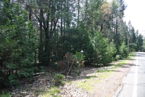 5117 Cold Springs Drive, Foresthill, CA 95631