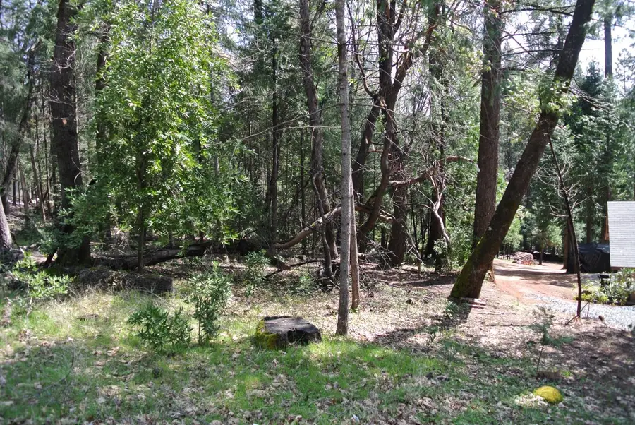 5117 Cold Springs Drive, Foresthill, CA 95631 - Image #2