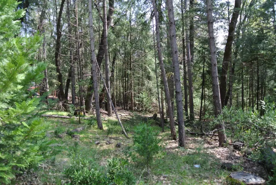 5117 Cold Springs Drive, Foresthill, CA 95631 - Image #3