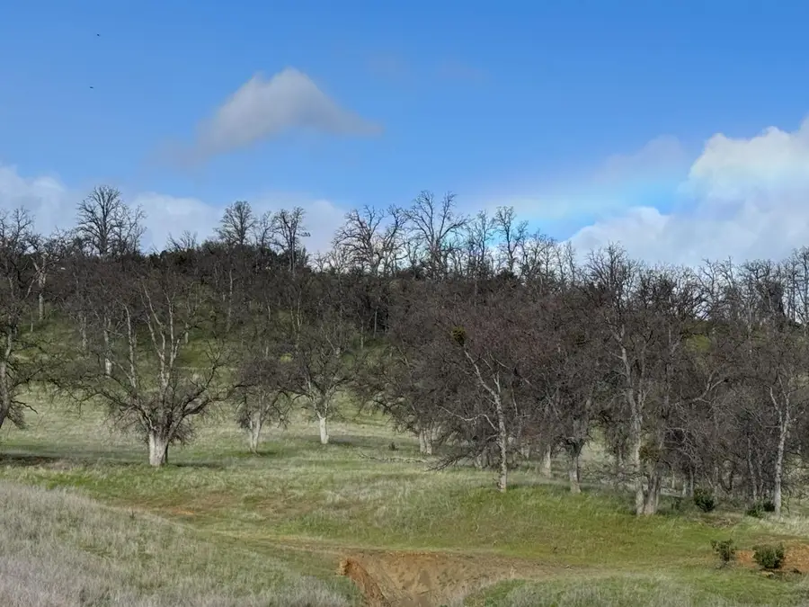 4289 Sites Lodoga Road, Stonyford, CA 95979 - Image #3