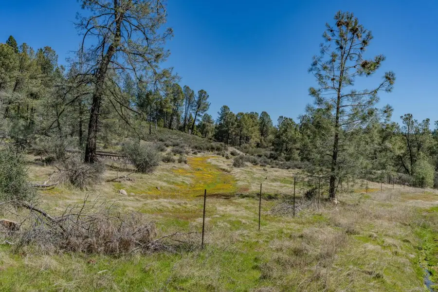 0 Carson Drive, Pioneer, CA 95666 - Image #3