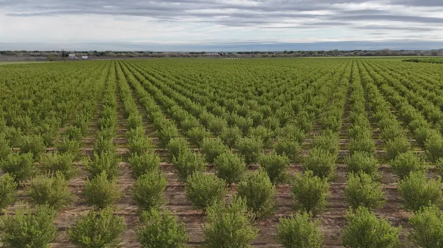 12742 Elm Avenue, Patterson, CA 95363 - Image #3