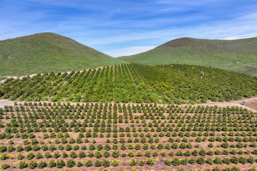 0 W Reid Avenue, Porterville, CA 93257 - Image #3