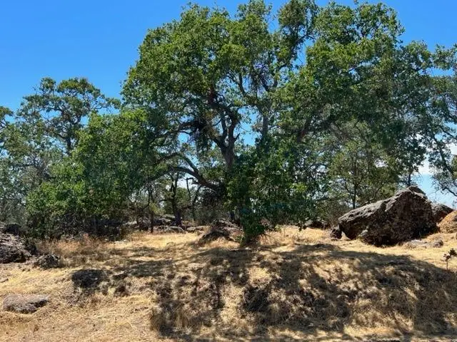 4088 Bartelink Drive, Valley Springs, CA 95252 - Image #3